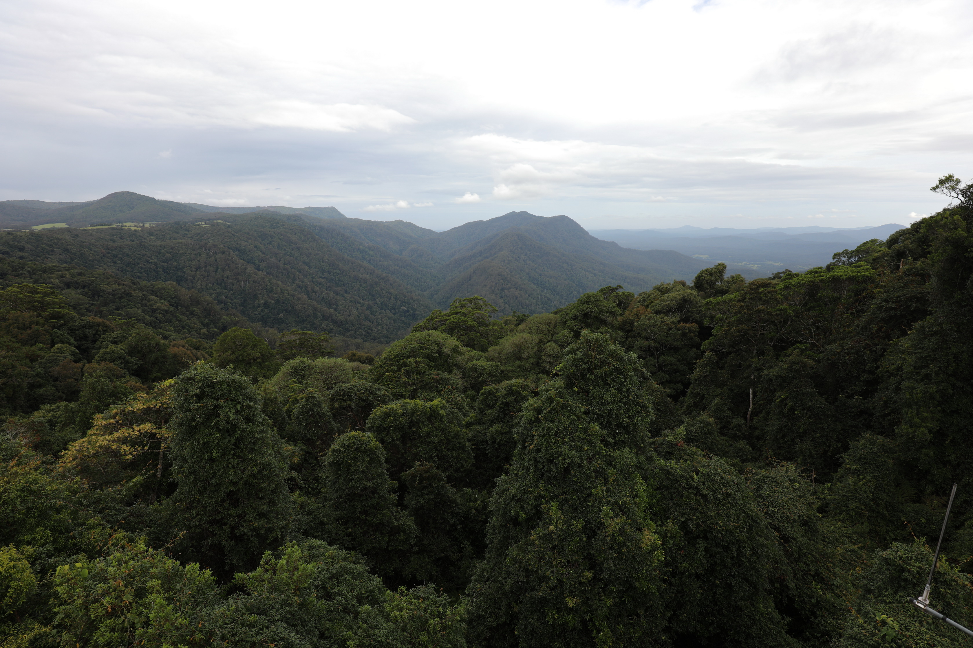 2020 01 14 17 15 07 Canon EOS 5D Mark IV 0029